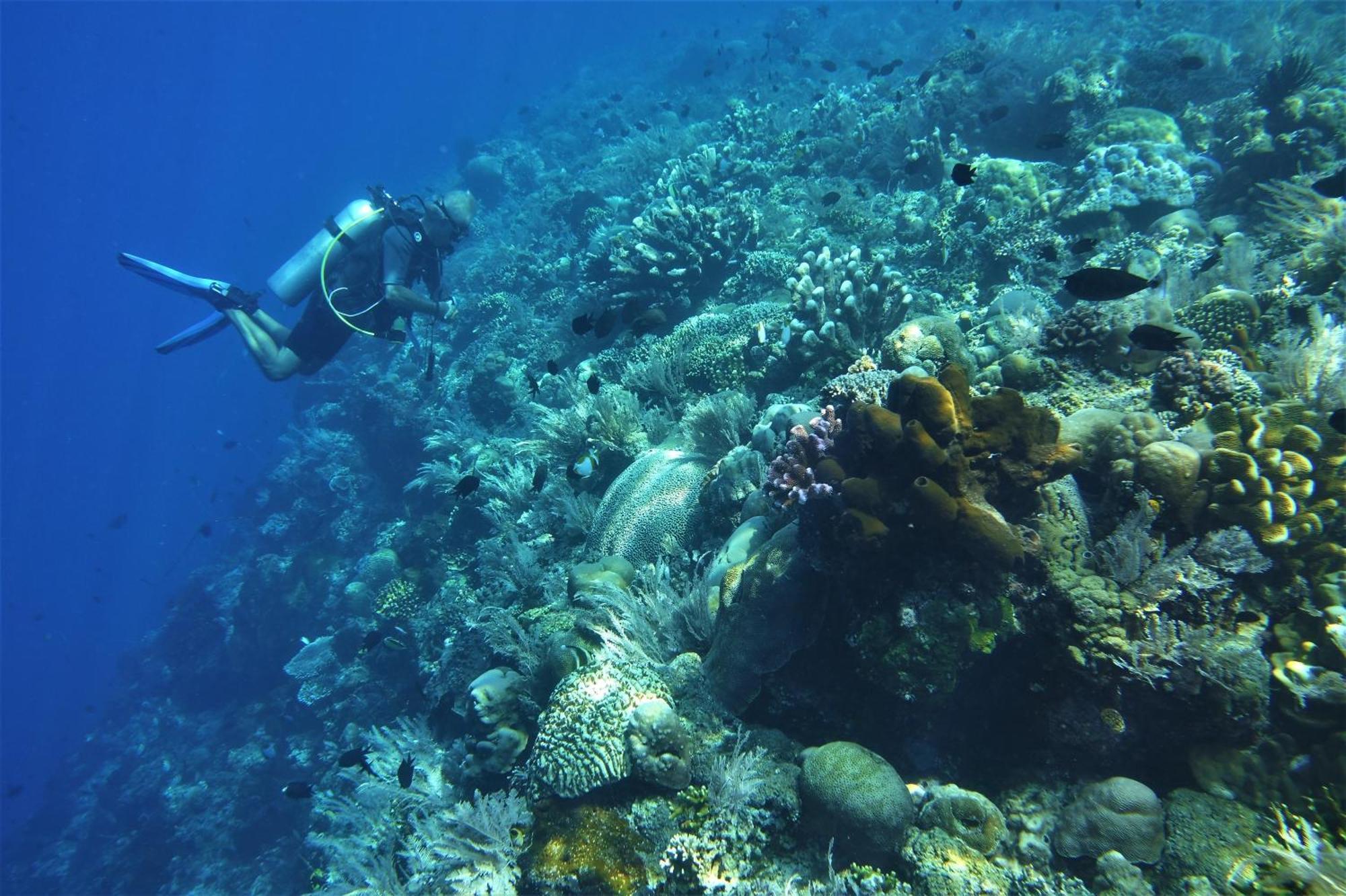 Bunaken Sea Garden Resort Luaran gambar